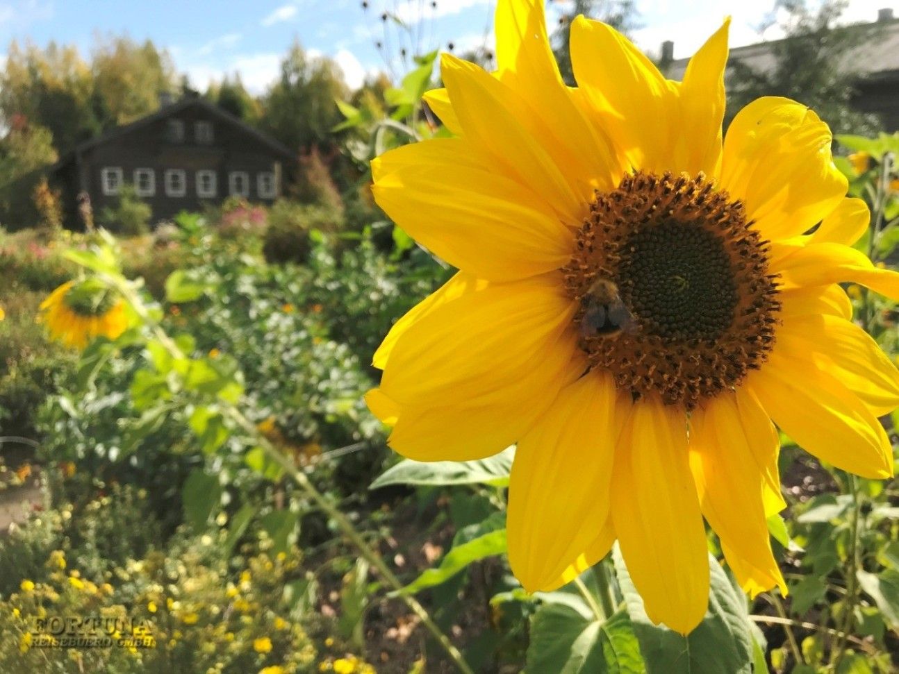 Круиз из Санкт-Петербурга в Пермь и обратно на теплоходе "Волга Стар"