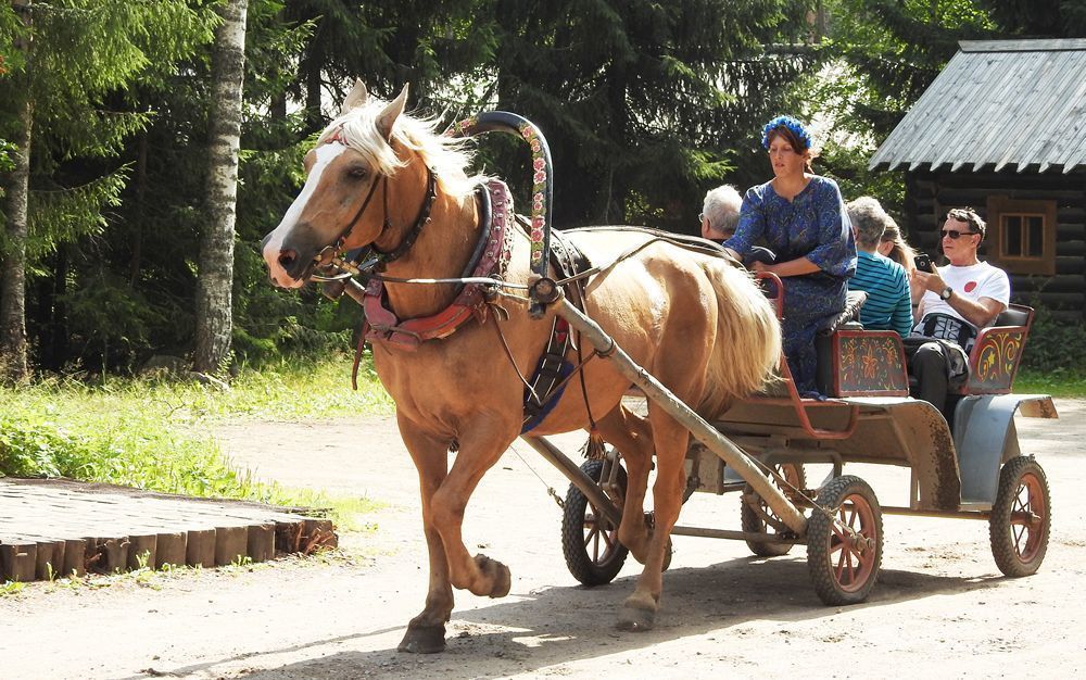 Круиз "Серебряное ожерелье", теплоход "Георгий Чичерин"
