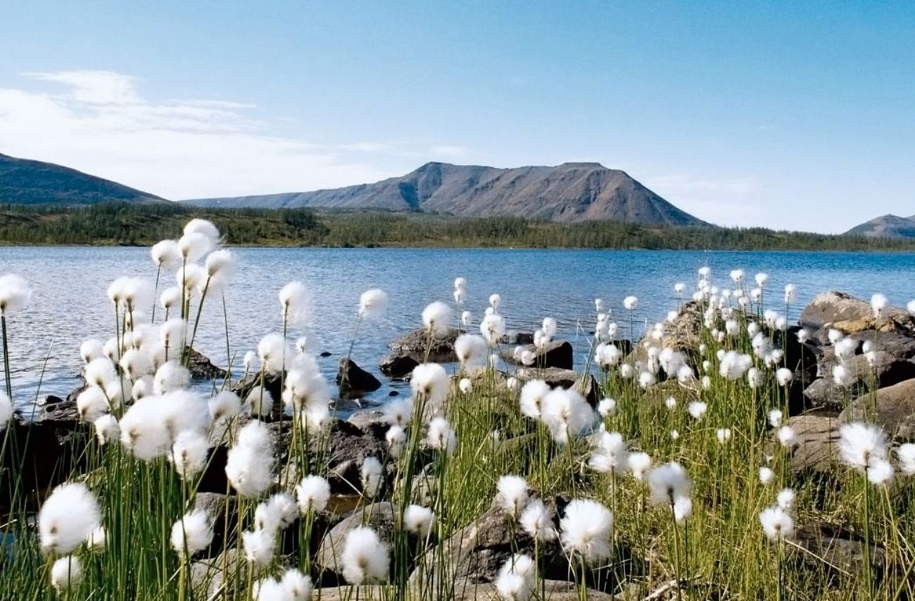 "Дудинка - Красноярск" - 12 дней теплоход "Максим Горький" 5*