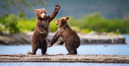 "Неделя на Камчатке", лето (без палаток)