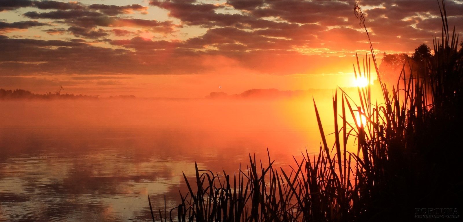 Круиз из Нижнего Новгорода в Казань, теплоход "Игорь Стравинский"