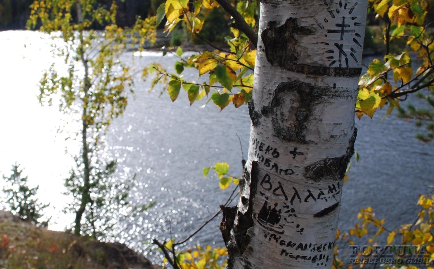 Круиз на остров Валаам из Петербурга, теплоход "Георгий Чичерин"