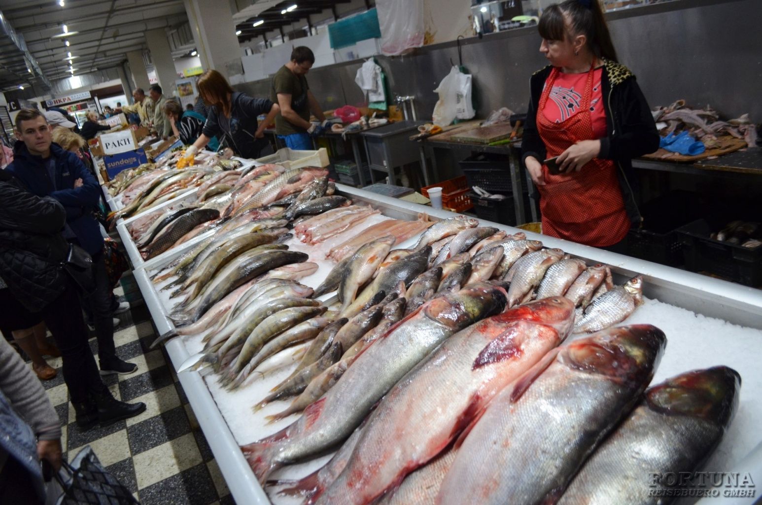 Круиз из Москвы в Ростов-на-Дону "Сердце Дона", теплоход "Николай Жарков"