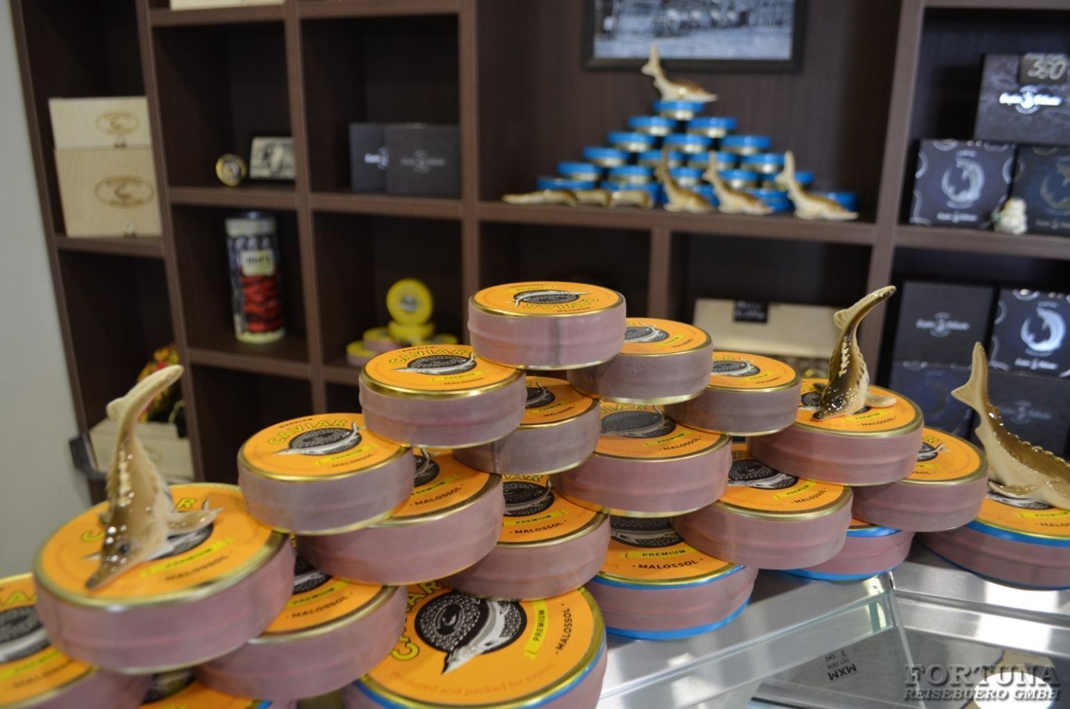 Круиз из Ростова-на-Дону в Махачкалу "Легенды Кавказа", теплоход "Николай Жарков"