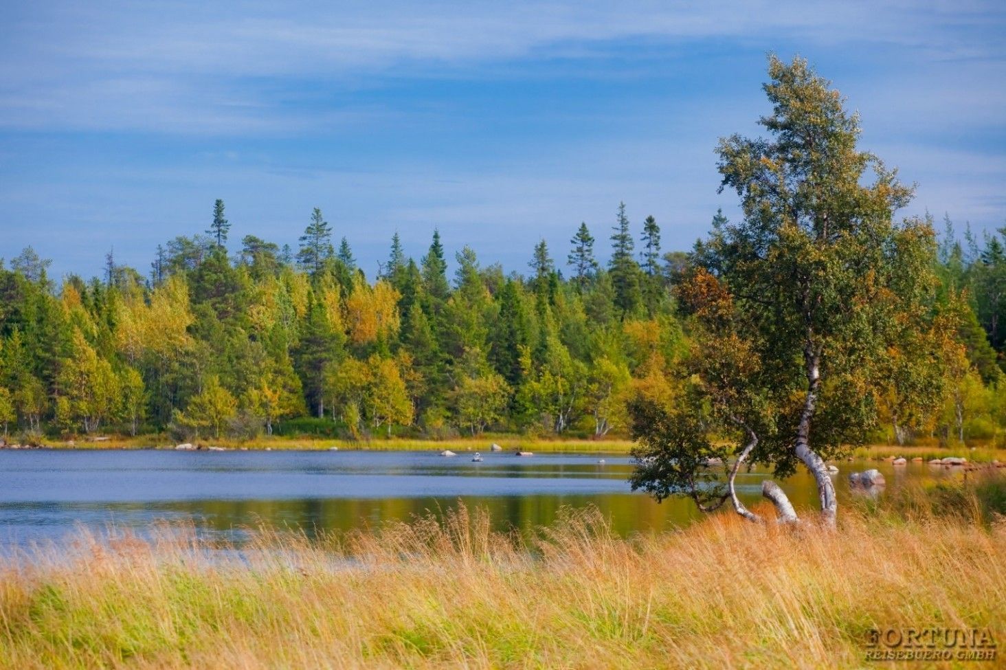 Золотая осень на Соловках, 4 дня. На поезде из Москвы