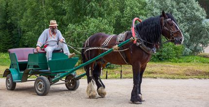 Круиз Столица "Золотого Кольца", теплоход "Ленин"