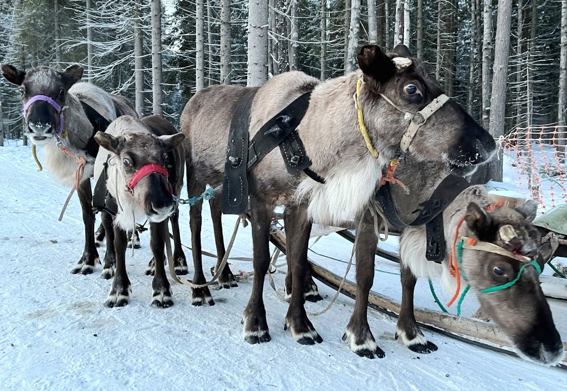 Гран-тур Вся Карелия. Октябрь 2025 - Апрель 2026