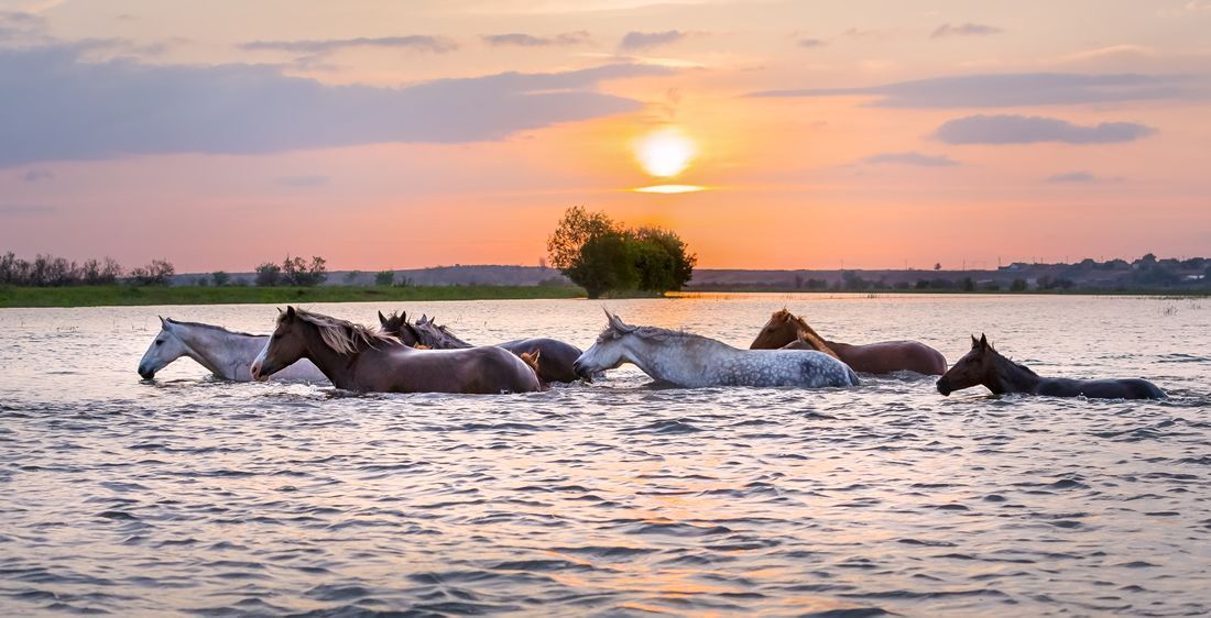 Круиз из Нижнего Новгорода в Казань и обратно, теплоход "Волга Стар"