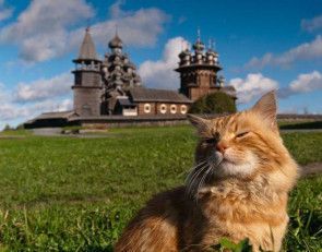 Круиз из Москвы в Санкт-Петербург, теплоход "Игорь Стравинский"