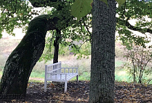 Музей-усадьба Тригорское, Пушкинские Горы, Псковская обл.