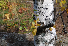 Туры на Валаам из Петербурга, круизы и экскурсии