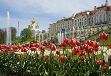 Праздник фонтанов в Петергофе