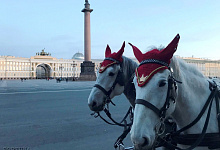 "Петербург - Петроград - Ленинград", 4 дня, осень, школьные группы