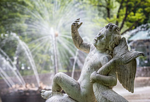 Праздничный тур: Открытие фонтанов в Петергофе - 3 дня, эконом