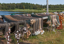Автобусом на Соловки из Санкт-Петербурга