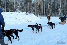 Вотчина Карельского Деда мороза ТалвиУкко. Питомник хаски