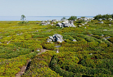 Соловецкие каменные лабиринты на Белом море