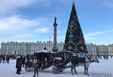 Новый год в Санкт-Петербурге, катание на каретах