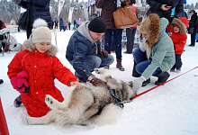 Зимний тур на Камчатку «Под склоном вулкана»