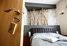 Гостиница Начальник Камчатки в Петропавловске-Камчатском. Номер ЛЕС