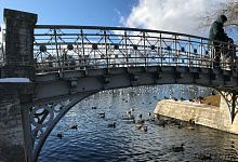 Экскурсия в Гатчину, парк, зима