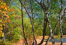 Туры на Соловецкие острова