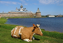 Спасо-Преображенский Соловецкий мужской монастырь. Соловки на Белом море