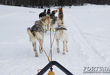 Тур 7 ЧУДЕС КАРЕЛИИ