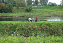 Экскурсия в Тихвин, Ленинградская область
