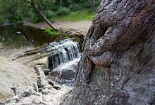 Экскурсия в Саблино