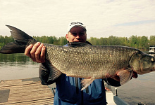 РЫБОЛОВНО-ОХОТНИЧЬЯ база МАЯК на РАСКАТАХ. Астрахань. Рыбалка на Волге