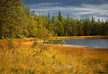 Тур: Золотая осень на Соловках