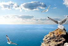 Тур Крымская кругосветка. Отдых в Крыму на Черном море