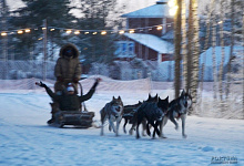 Вотчина Карельского Деда мороза ТалвиУкко. Питомник хаски