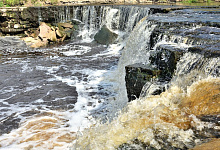 Экскурсия в Саблино